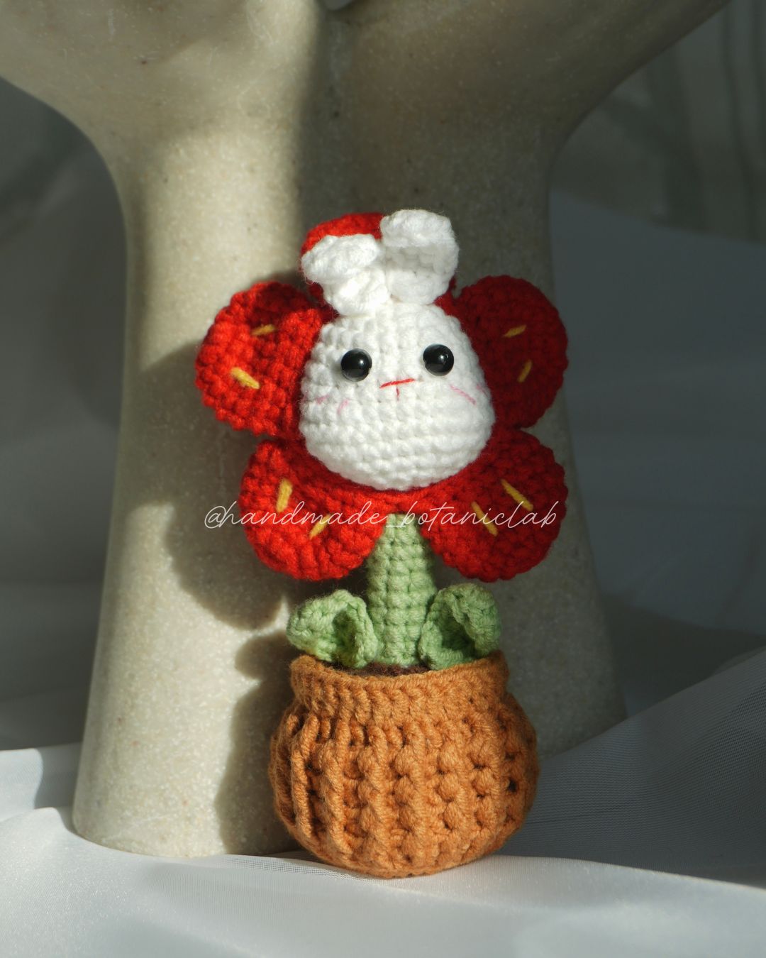 Daisy in Red