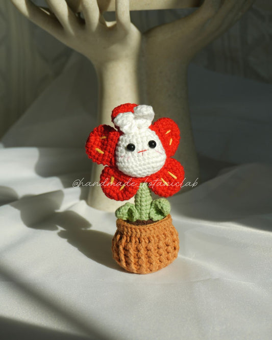 Daisy in Red