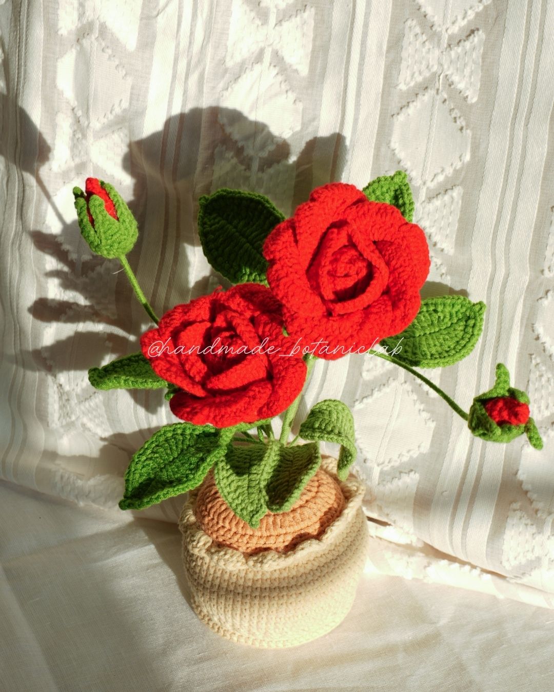 Pot of Roses