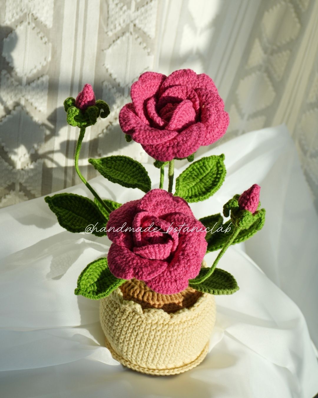 Pot of Roses