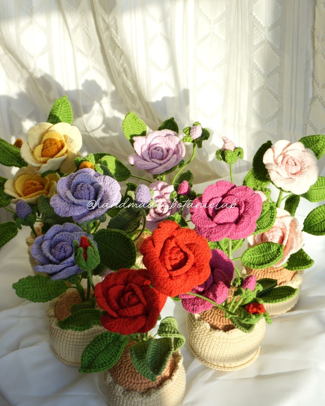 Pot of Roses