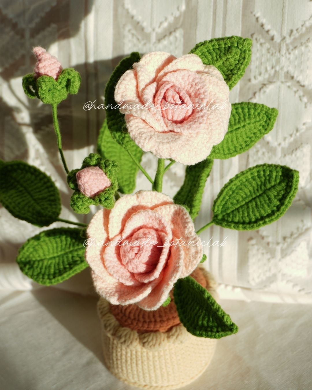 Pot of Roses