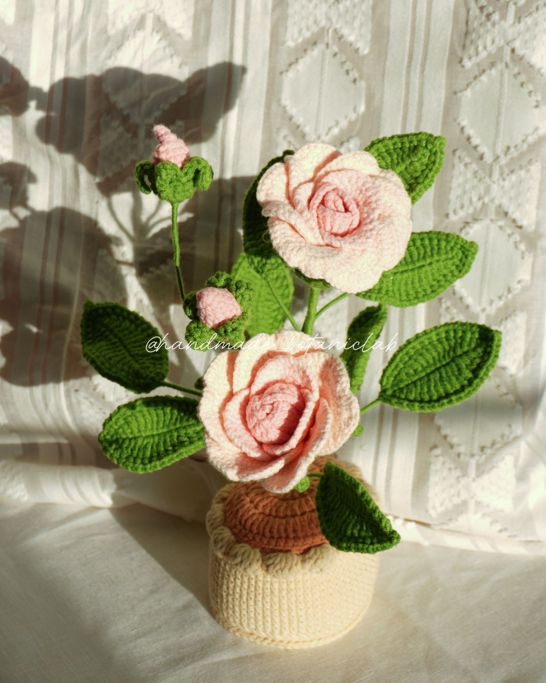 Pot of Roses