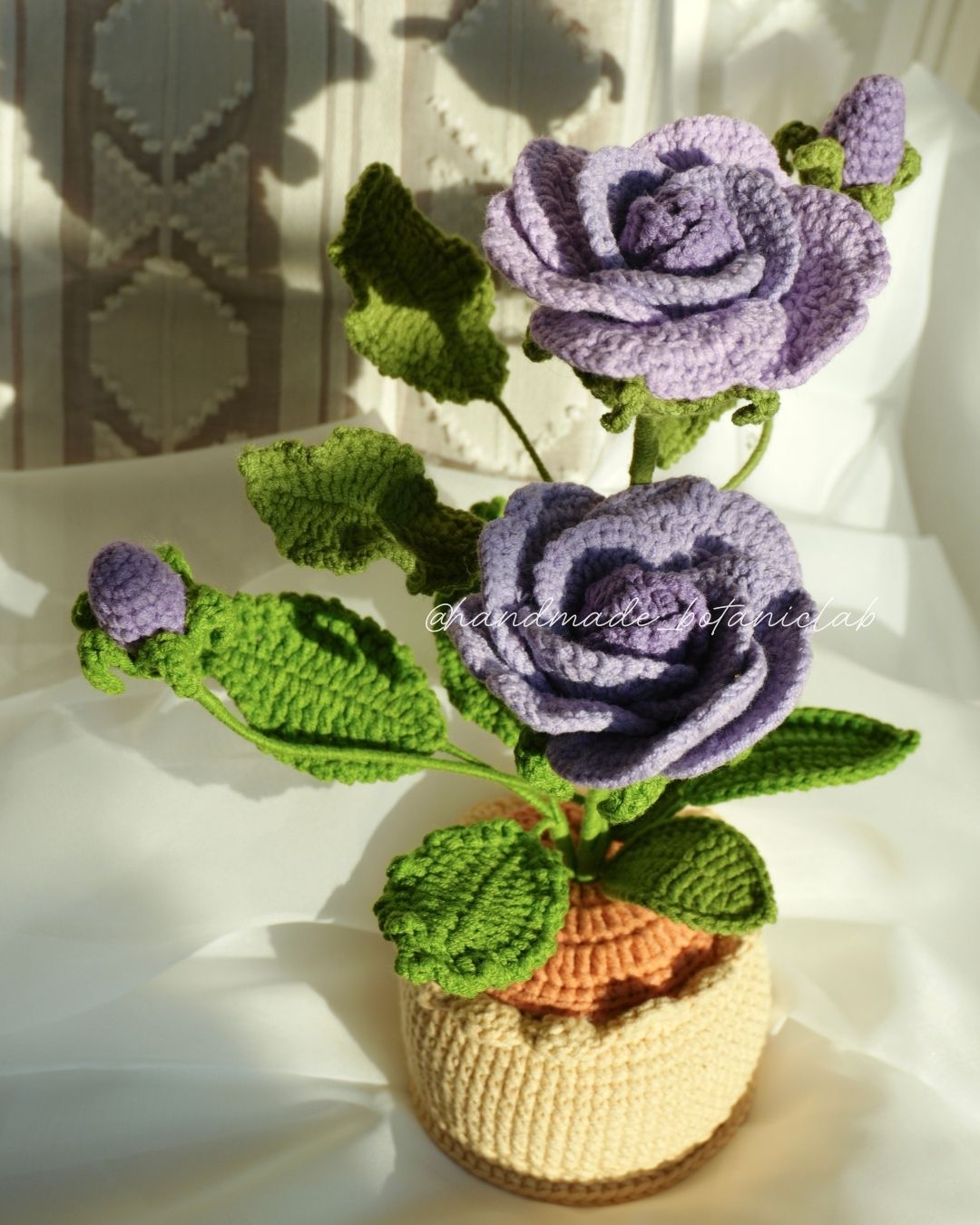 Pot of Roses