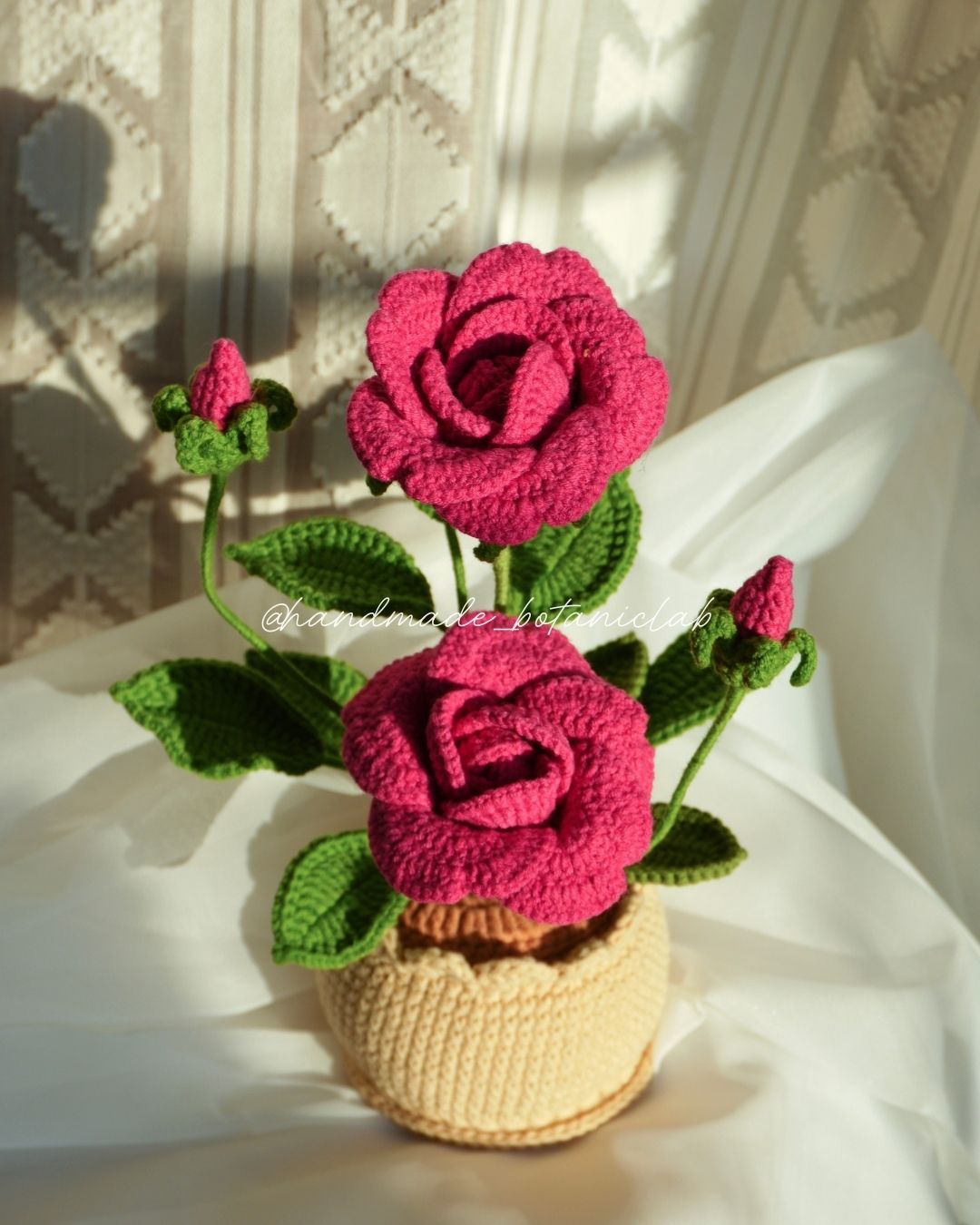 Pot of Roses