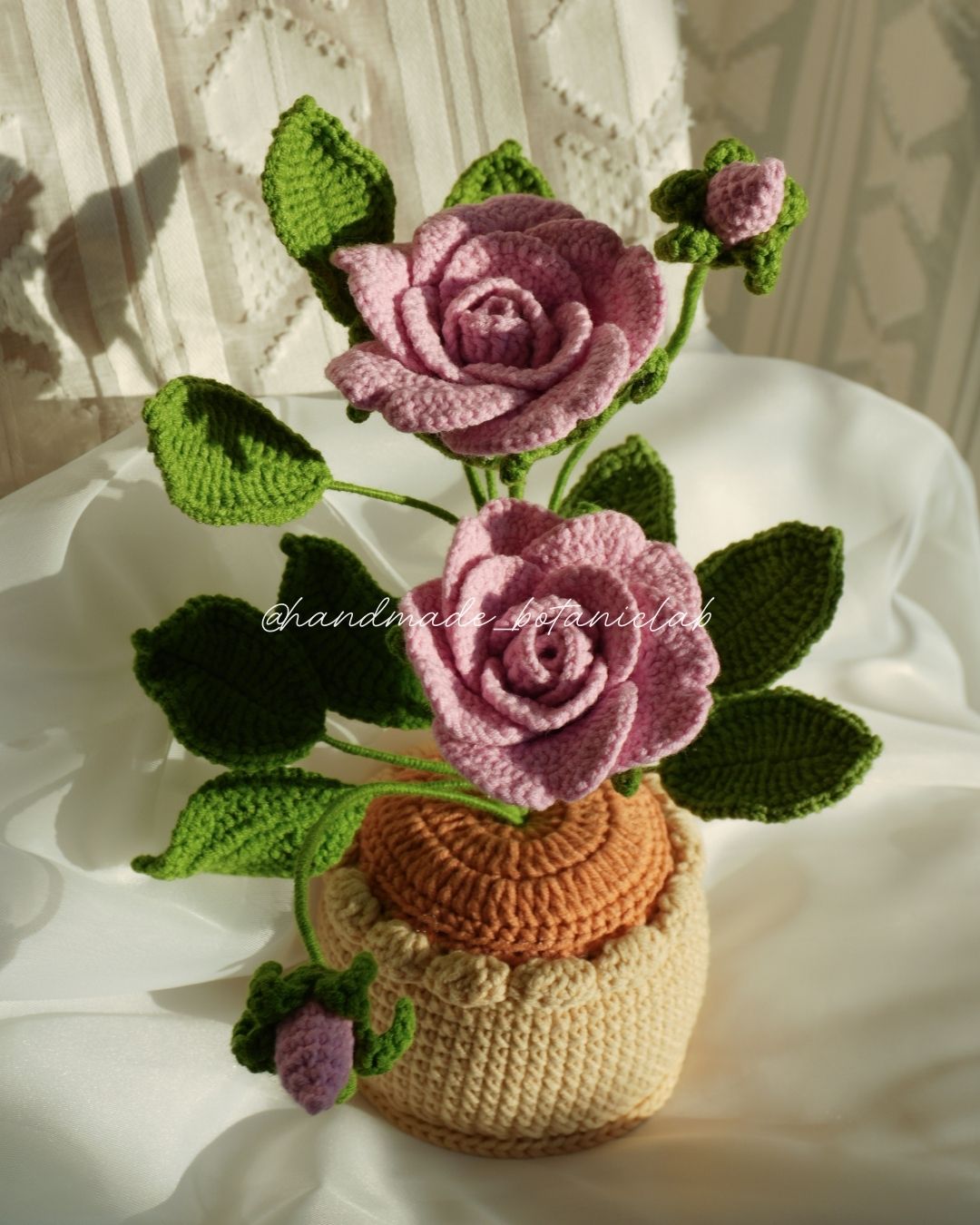 Pot of Roses