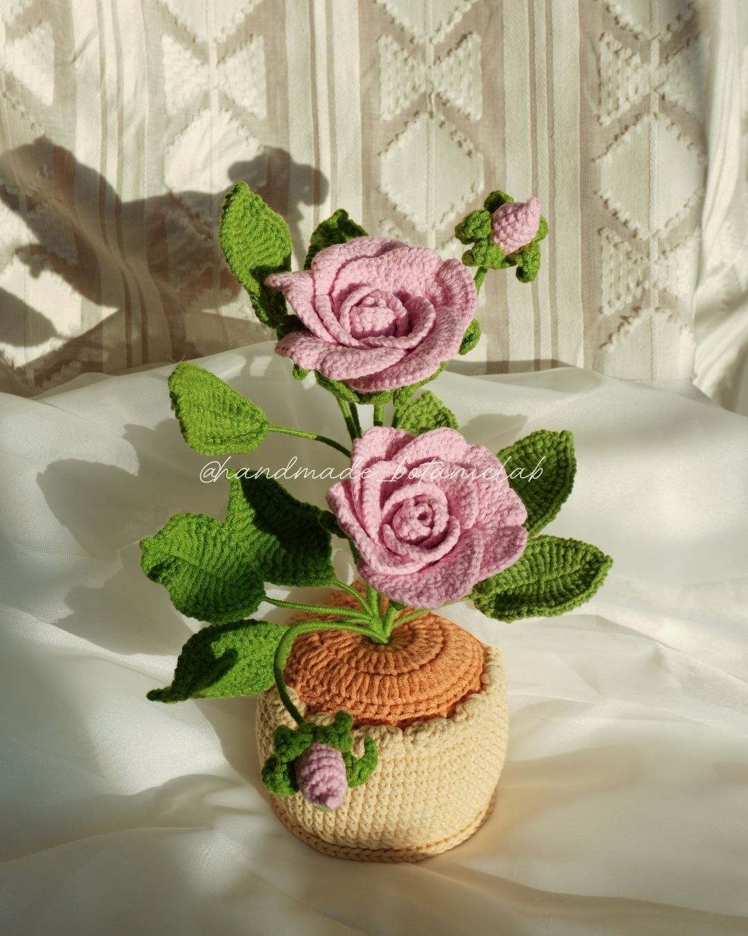 Pot of Roses