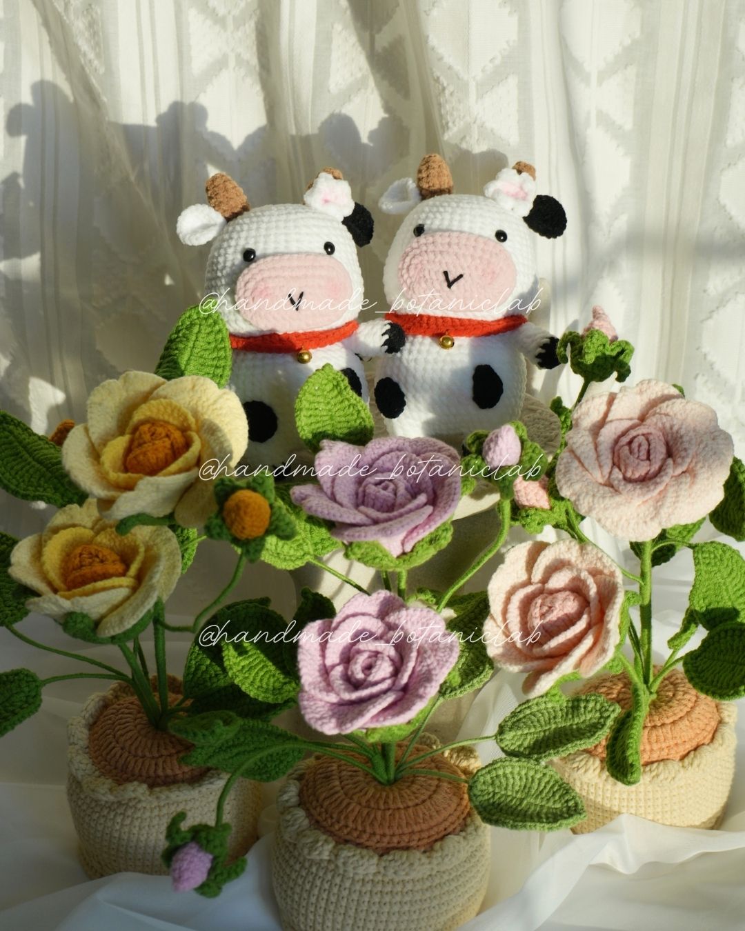 Pot of Roses