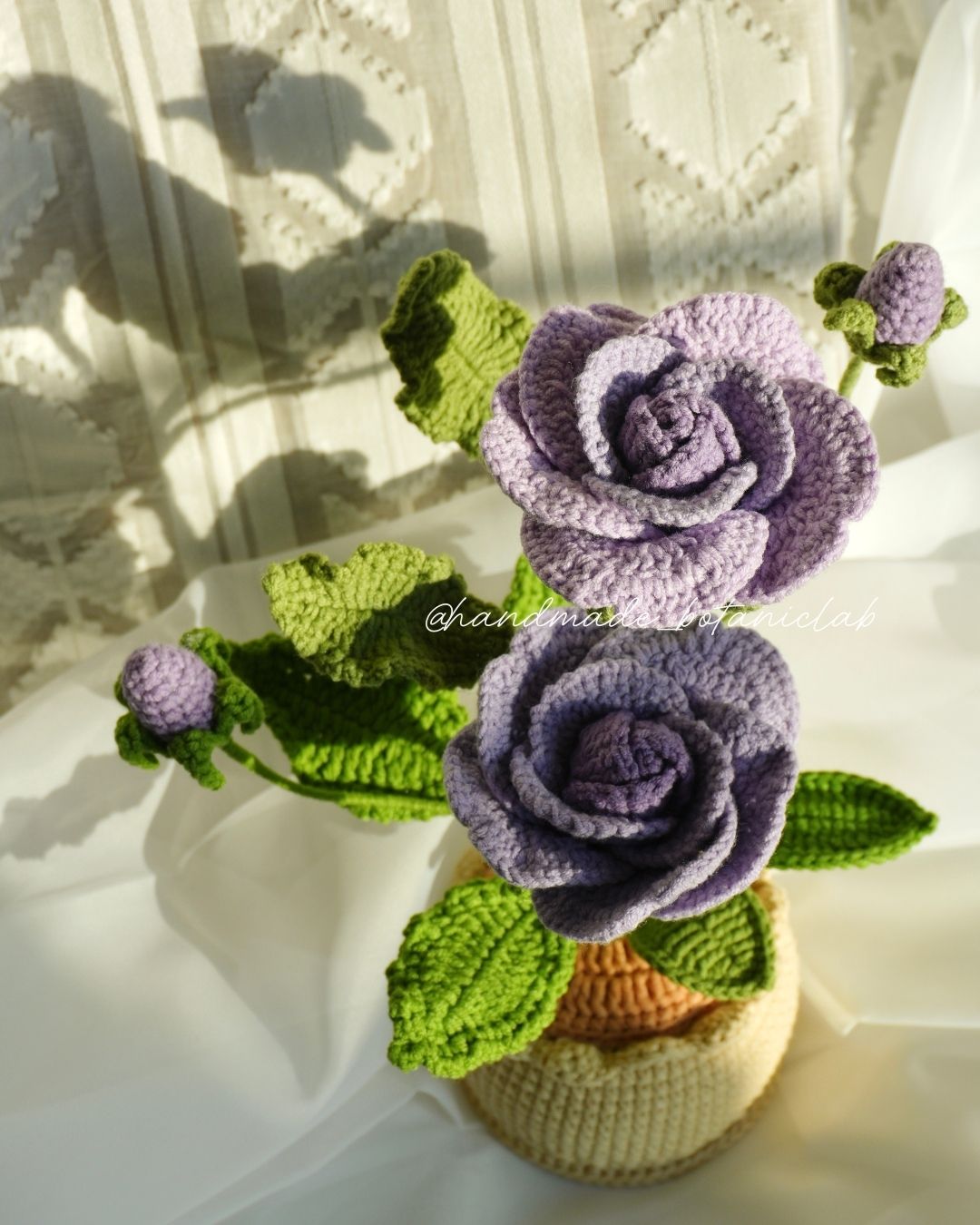 Pot of Roses