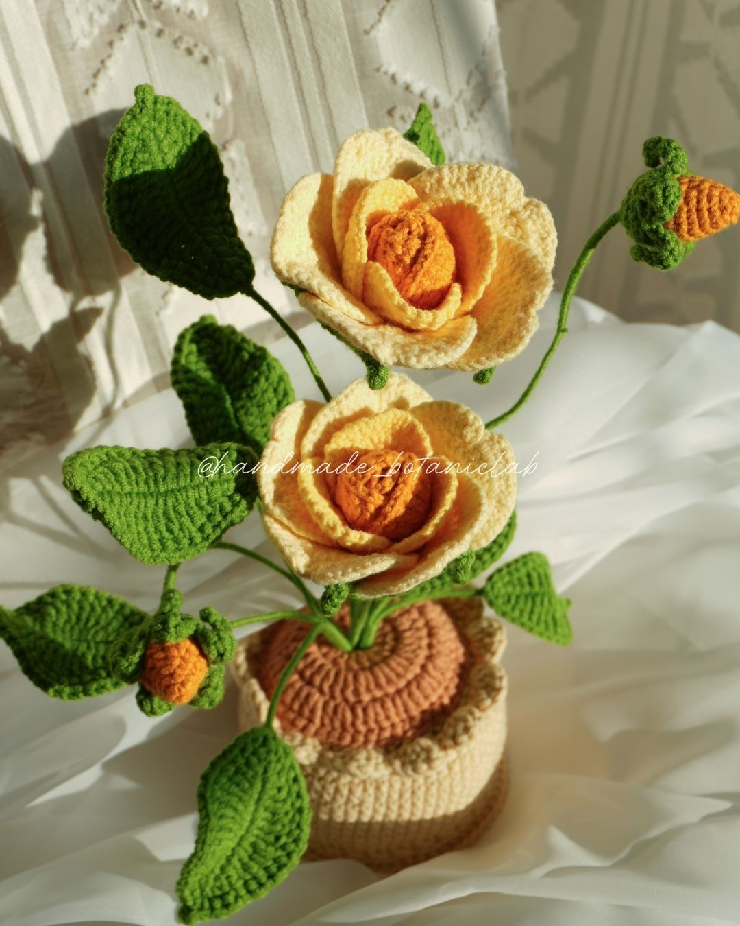 Pot of Roses