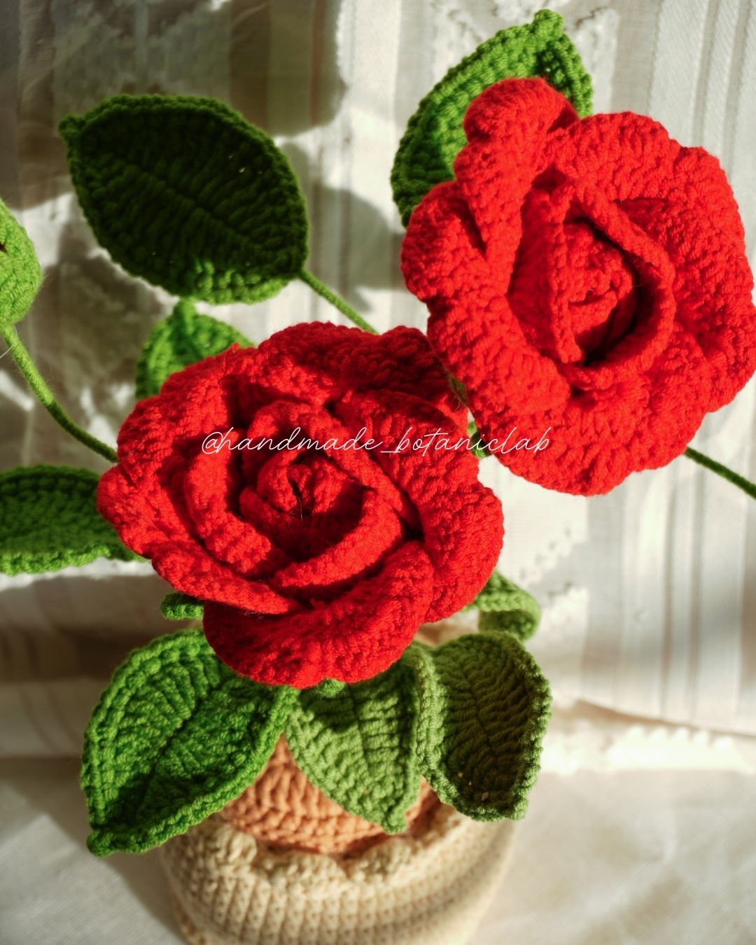Pot of Roses