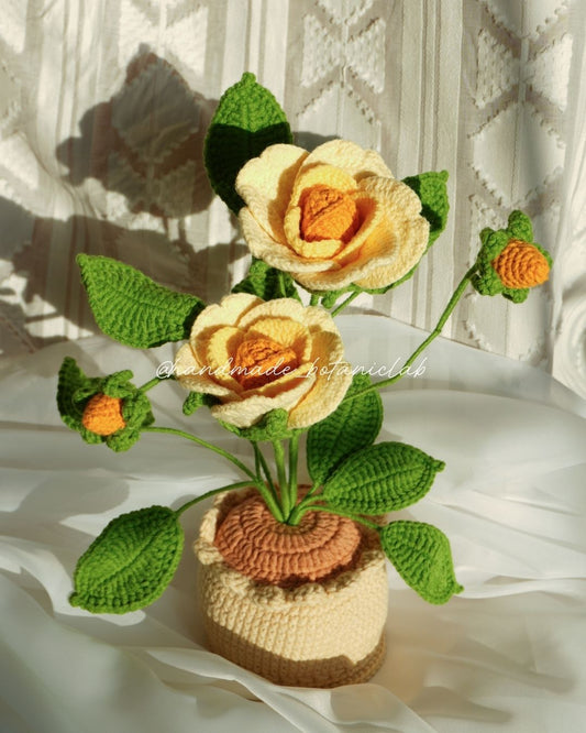 Pot of Roses